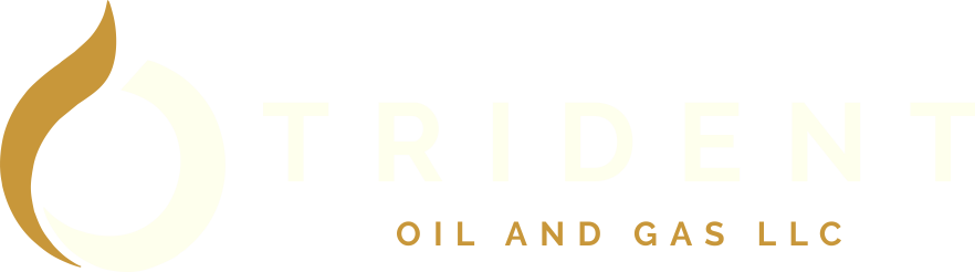 Trident Oil and Gas LLC FZ